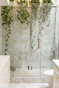 Read more about the article 5 Reasons to Install Frameless Shower Screens in Your Bathroom